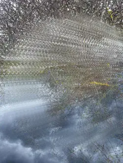 Gabrielė Kuizinaitė