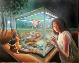 Into the illusion