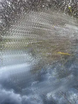 Gabrielė Kuizinaitė